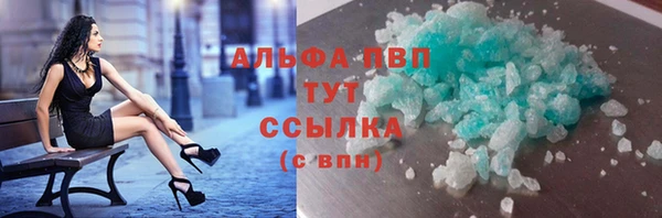 сатива Магадан