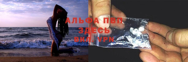 дмт Магас