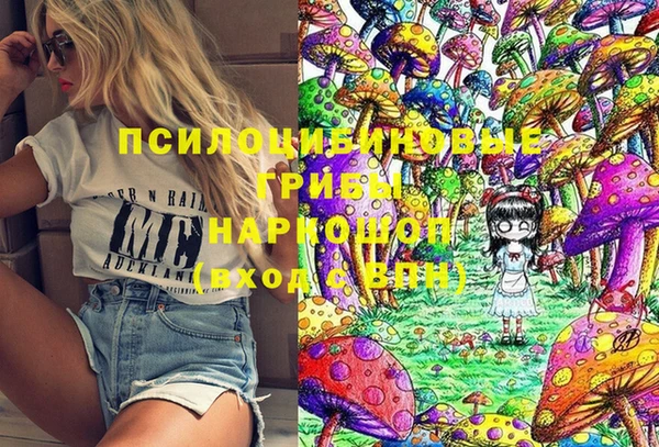 МДПВ Майский