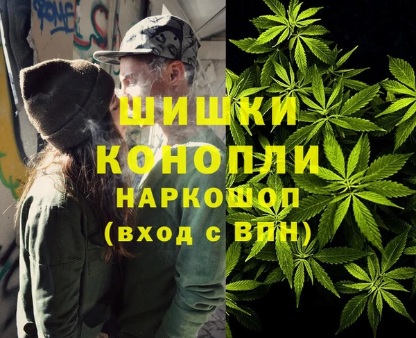 сатива Магадан
